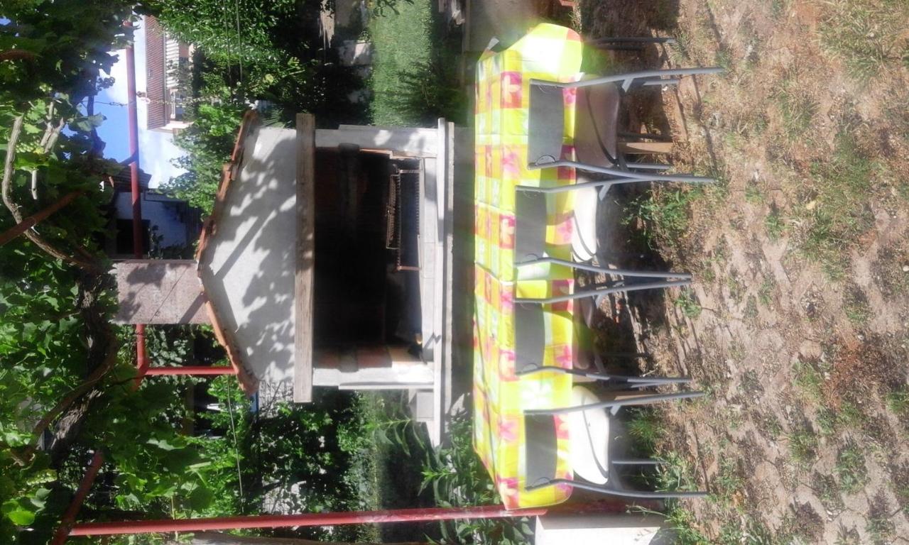 Mirko Pula